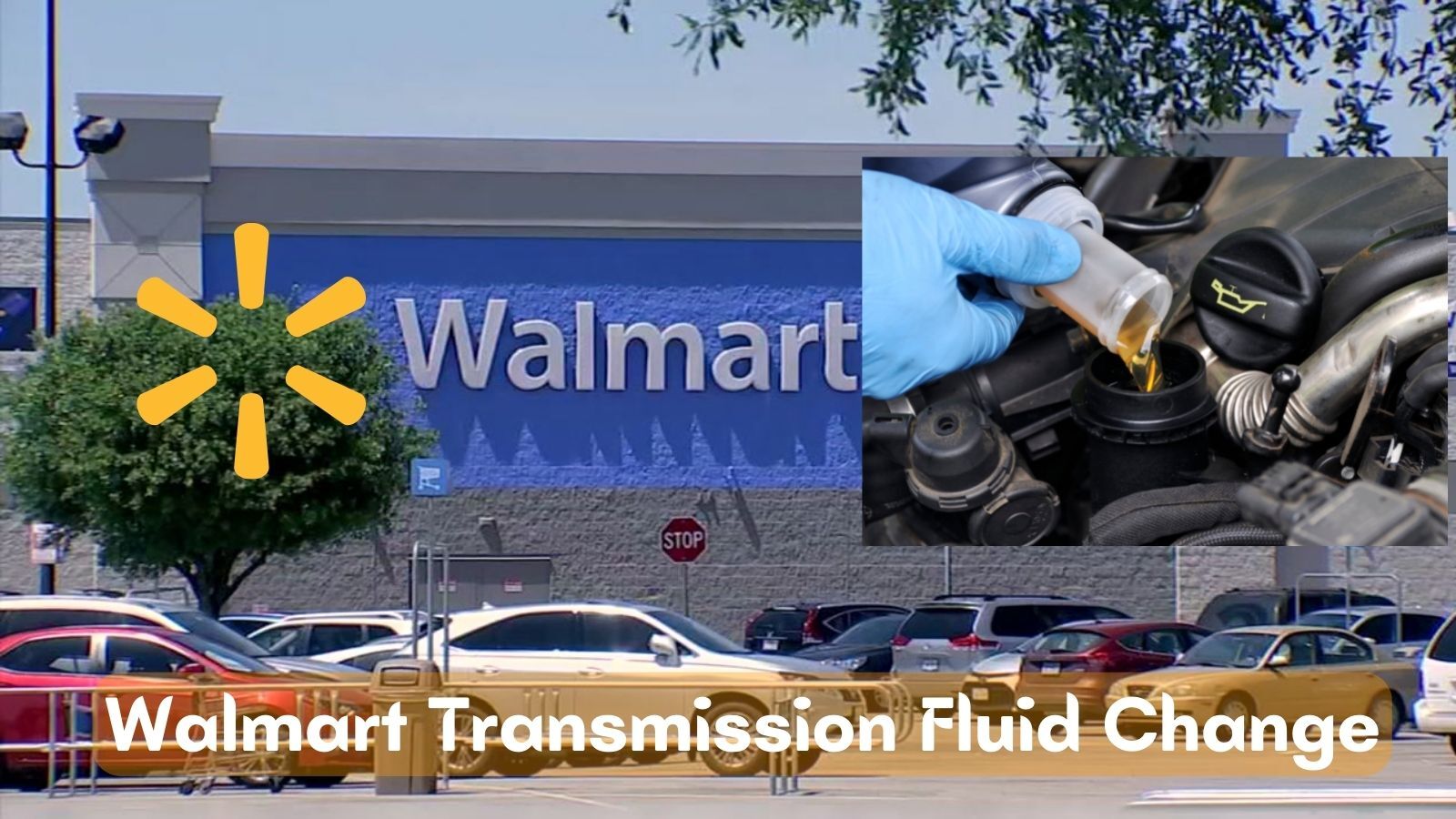 A Complete Guide of Walmart Transmission Fluid Change In 2024 Cherry Picks